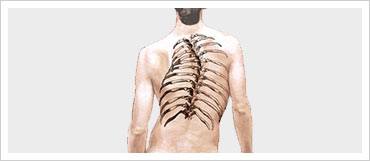Complex Spine Disorders