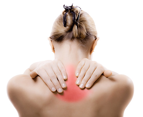 Spinal Contusion: The Complete Informational Guide